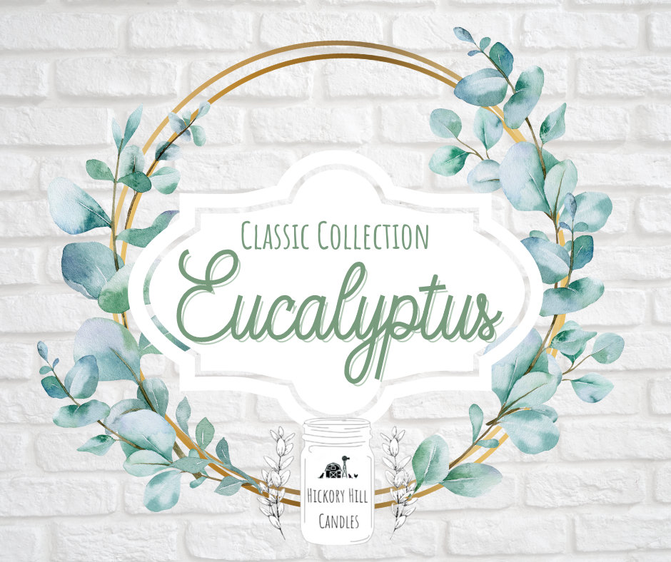 Eucalyptus Scent Classic Collection Scent