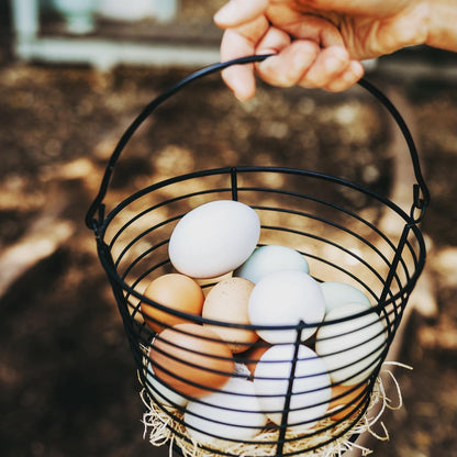 Hickory Hill Farmhouse Fresh Eggs- 1 Dozen